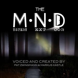 THE MYSTERY NEXT DOOR