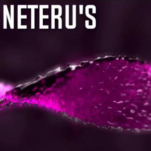Neteru’s Instrumental