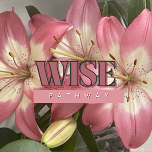 Wise Pathway