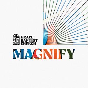 Magnify