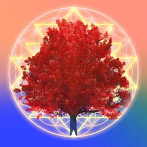 Rise and Shine Shamanic Tonic