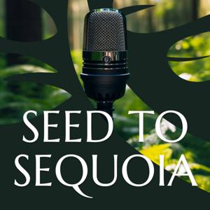 Seed to Sequoia
