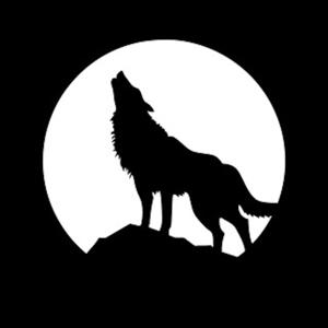 Tyler Boyd's Podcast