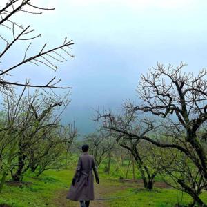 Tiền và chiến lược | Tôn Trí Kiên