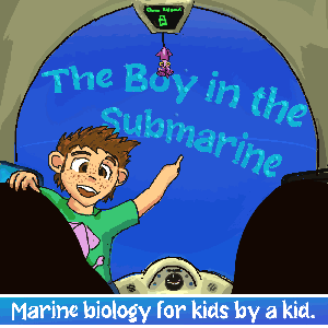 The Boy in the Submarine