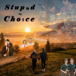 Stupid by Choice