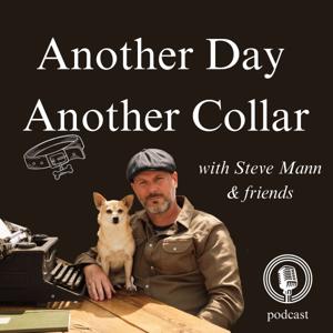 Another Day Another Collar