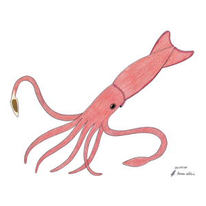 Squiddy (Read-Aloud)