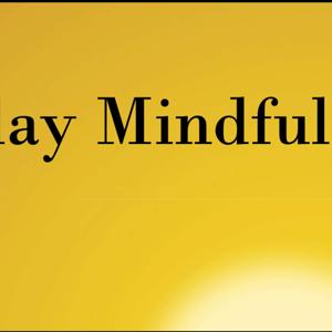 Everyday Mindfulness Podcast with Bill Scheinman