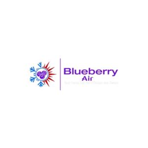 Blueberry Air