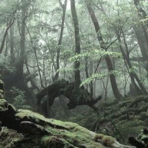 Mejorando el desempeño ambiental
