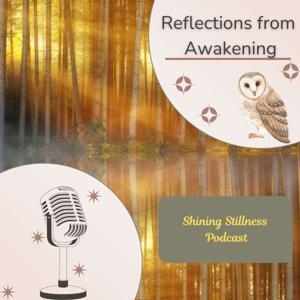 Shining Stillness