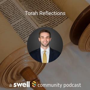 Torah Reflections