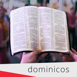 Reflexión diaria sobre la Palabra de Dios