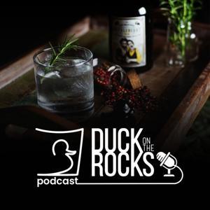 Duck on The Rocks