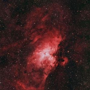 La vida y su milagros