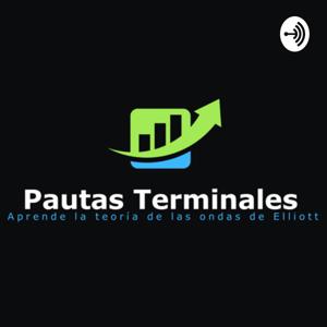 Pautas Terminales