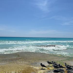 Afirmaciones positivas para tu día