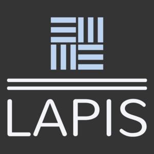 AI for Business by Lapis AI Consults