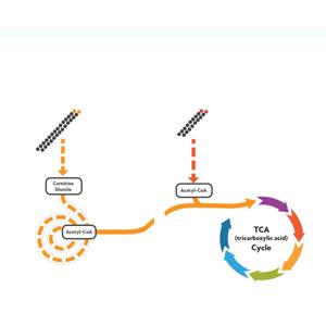 Bridging Gaps, Optimizing Treatment in Patients With LC-FAODs