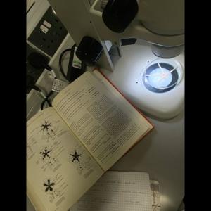 Biology Uncovered – Discovering the Secrets of Life