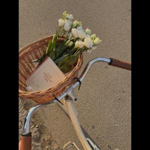 Exploring the World of Motorcycles