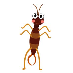 Earwigs