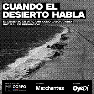 CUANDO EL DESIERTO HABLA