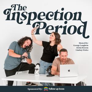 The Inspection Period