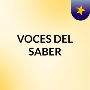 VOCES DEL SABER