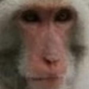 黃同學與他的老師們