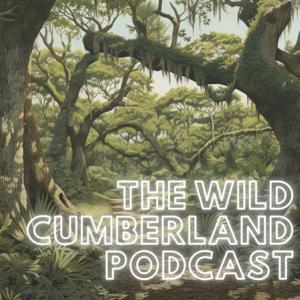 The Wild Cumberland Podcast