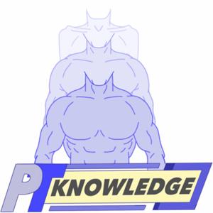 PT Knowledge