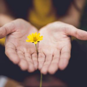 ACT Mindfully