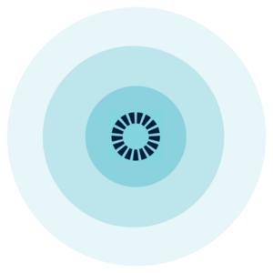 Sustainable finance observatory