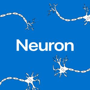 Neuron