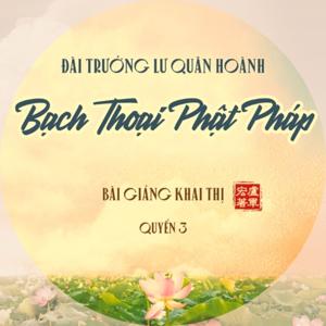 Bạch Thoại Phật Pháp Q3 (心灵法门)