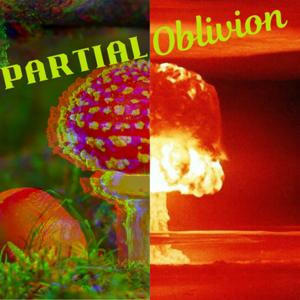 Partial Oblivion