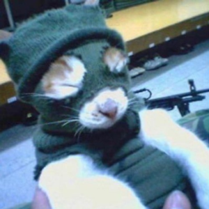 TWERKNATION 28 - NUMBER