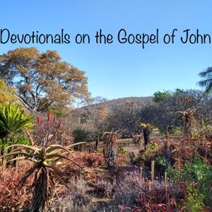 The Gospel of John