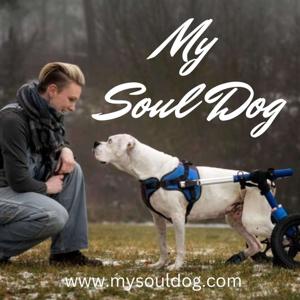 My Soul Dog