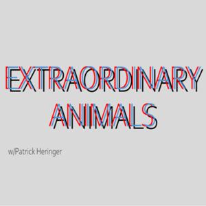Extraordinary Animals