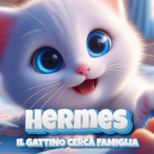 Hermes, il gattino cerca famiglia - Tratto da una storia vera