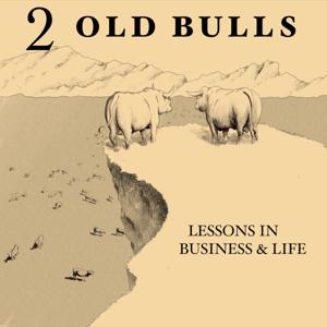 2 Old Bulls
