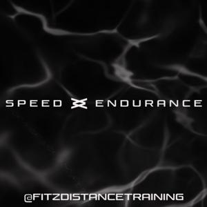Speed Endurance