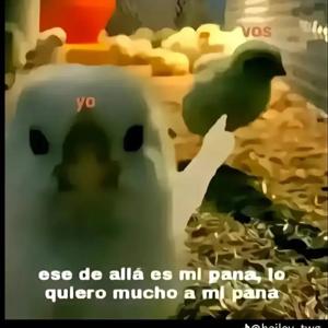 Tarea plan lector