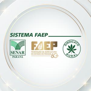 Boletim no Rádio