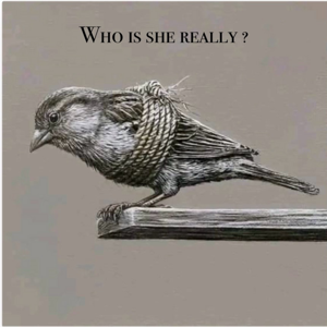 Who is she really ? Finding my Ancestors