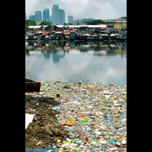 Environmental pollution