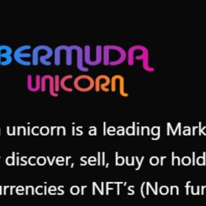 Adam Button NFT Insights